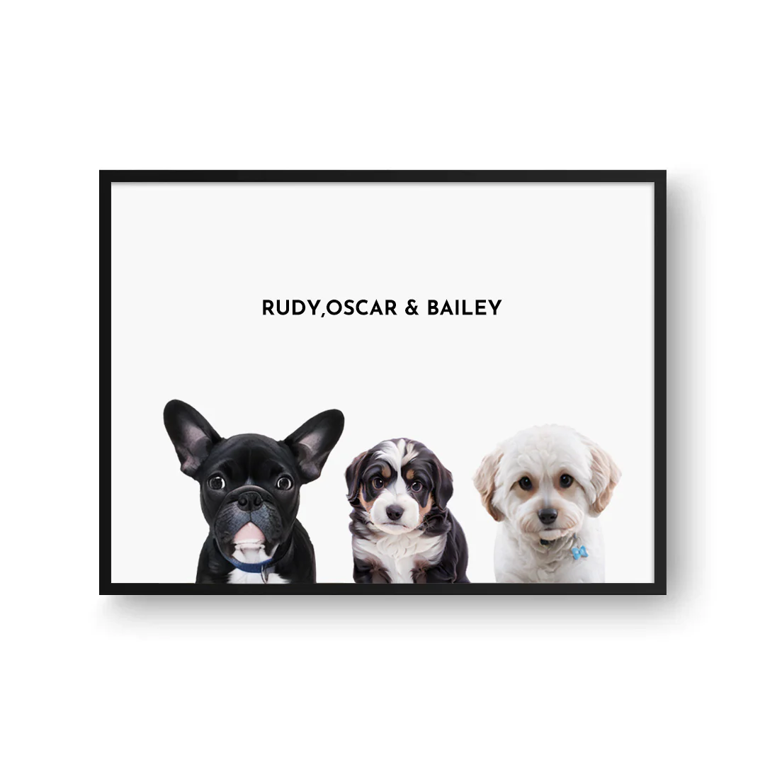 Three Pet Portrait